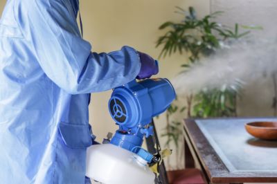 Commercial Fumigation in Marietta, GA