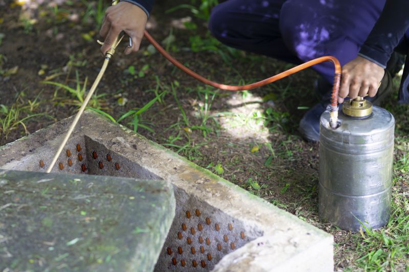 Roach Fumigation in Cumming, GA