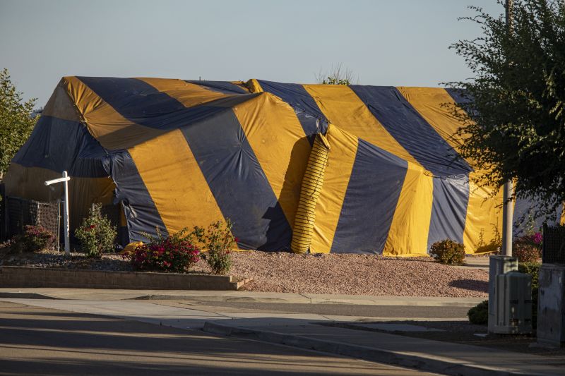 Termite Tenting in Long Island, NY